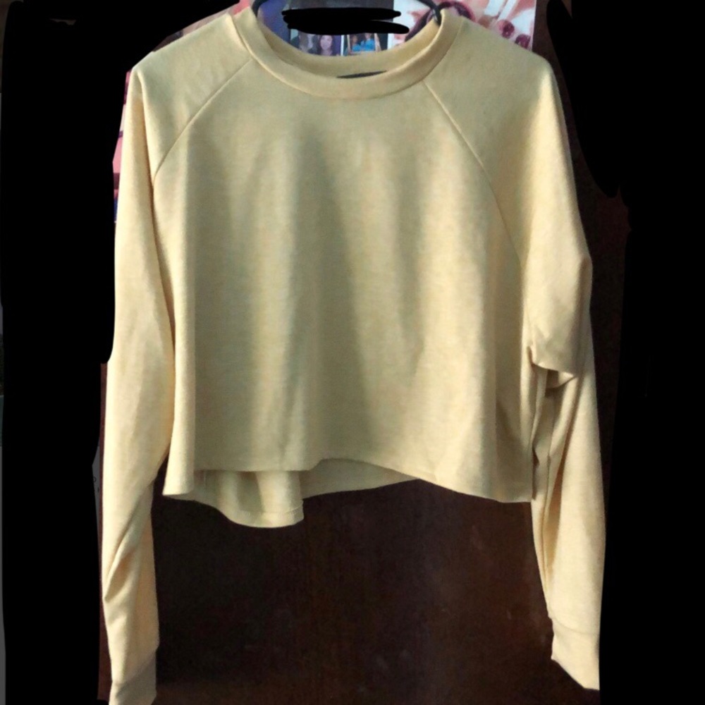 Forever 21 Cropped Sweatshirt